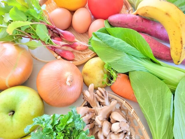 金沢市の姿勢矯正カイロプラクティックさかいろの食と健康のアドバイス